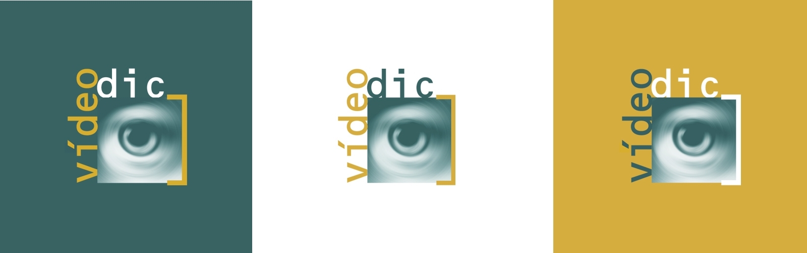 logo-VIDEO-DIC